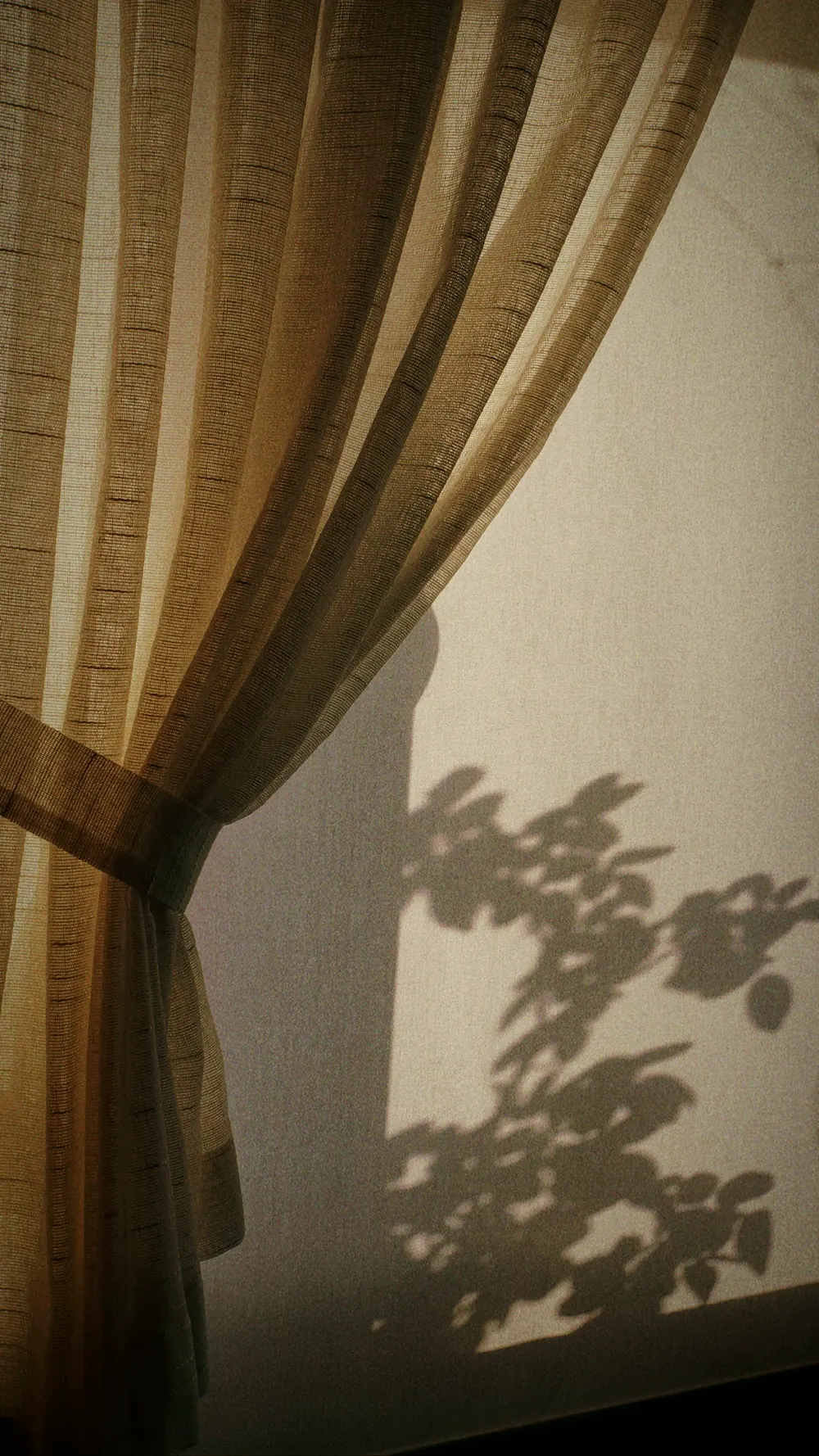 Leinenvorhang vor einer Wand, darauf der Schatten einer Pflanze