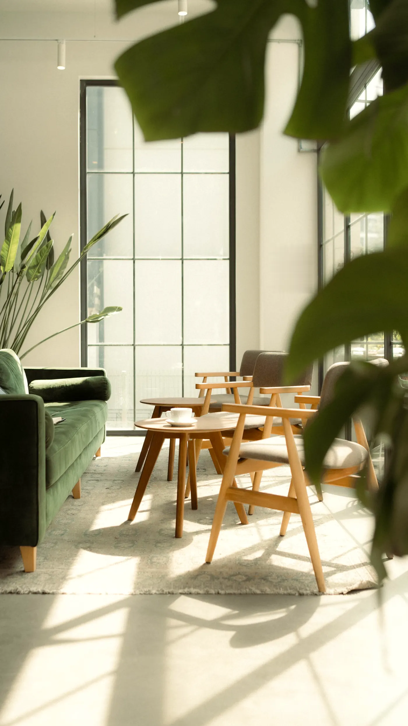 Heller Wartebereich mit Sofa, Holzstühlen und großen Zimmerpflanzen im Tageslicht